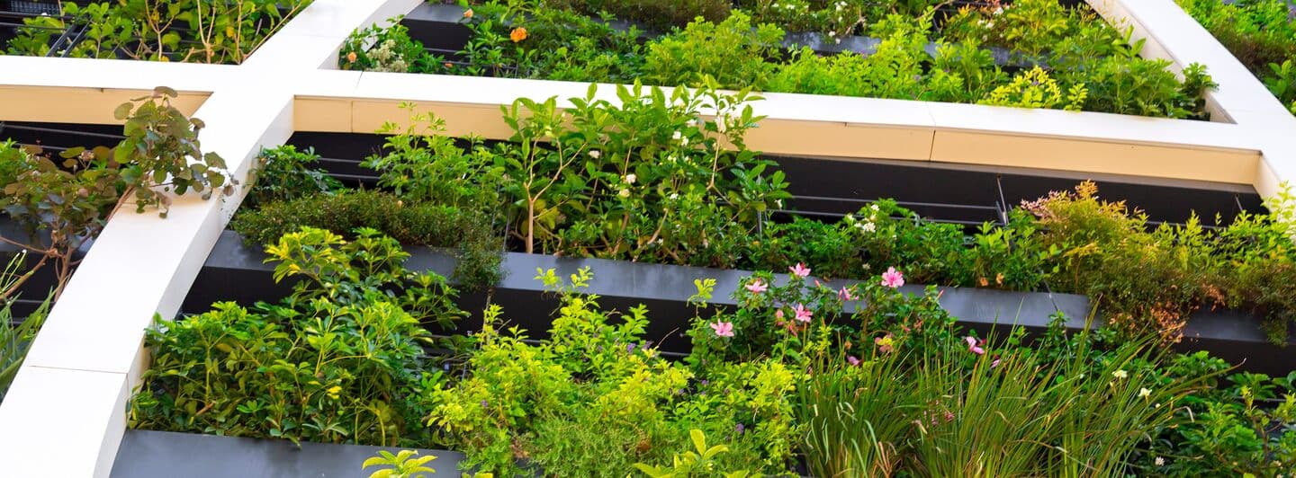 Design & Consultation